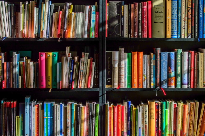 vente-TRIGANCE-min_books_bookstore_book_reading_shop_writer_sale_books_read-822866